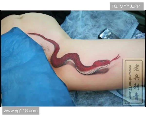 足球明星独特蛇纹身高清大赏展现个性与魅力