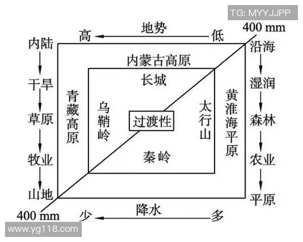 武汉乒乓球队进攻体系解析与战术运用的深度探讨